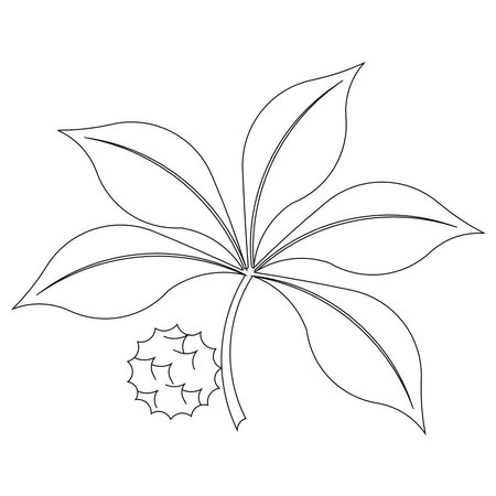 Shop | Category: Flowers / leaves | Product: Buckeye leaf motiff